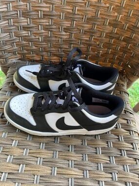 Nike dunks 6Y